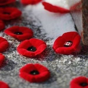 Meet your Posher, Brenda